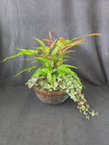 Copper and green fern bowl arrangement, side view