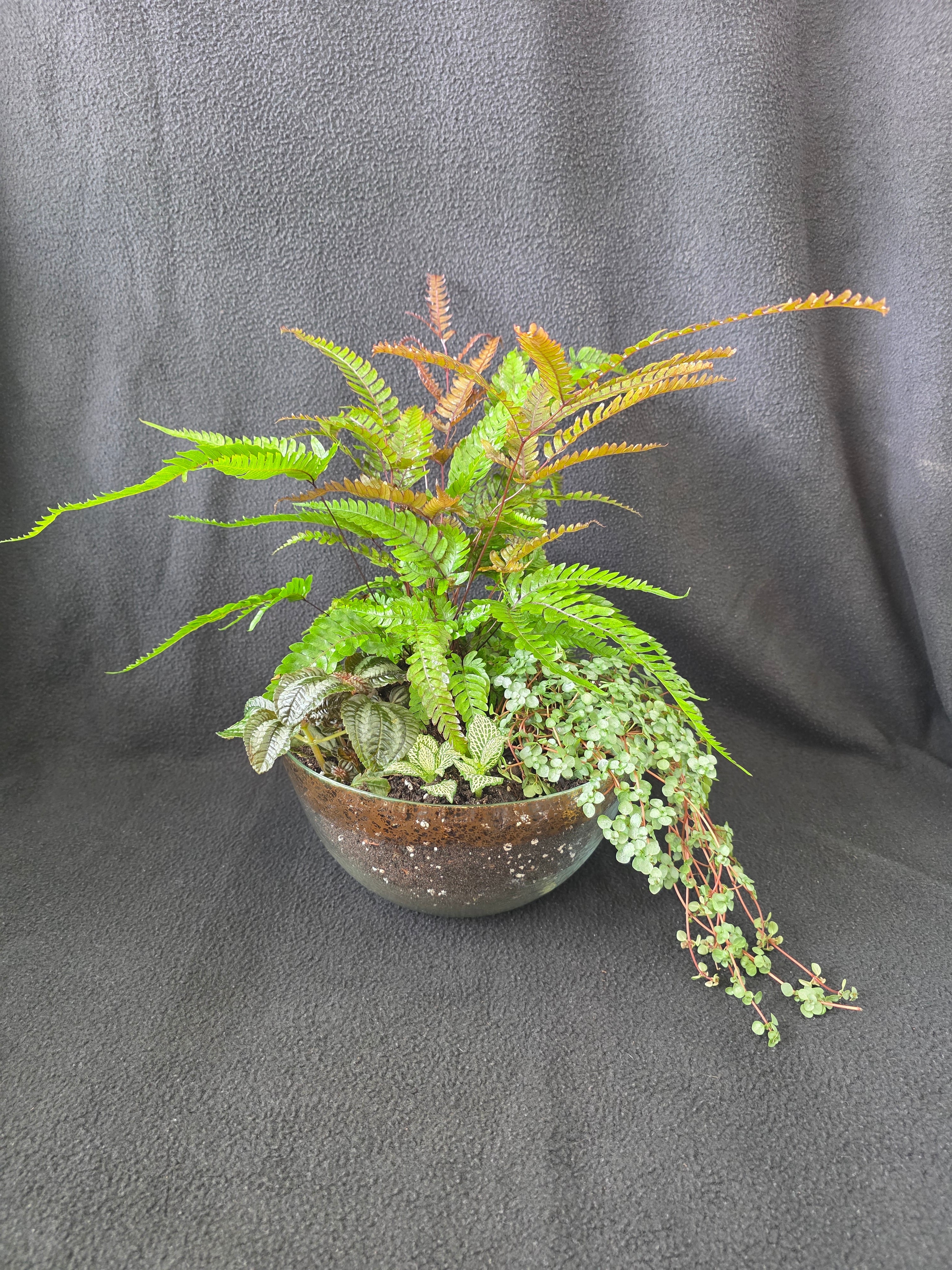 Copper and green fern bowl arrangement, side view