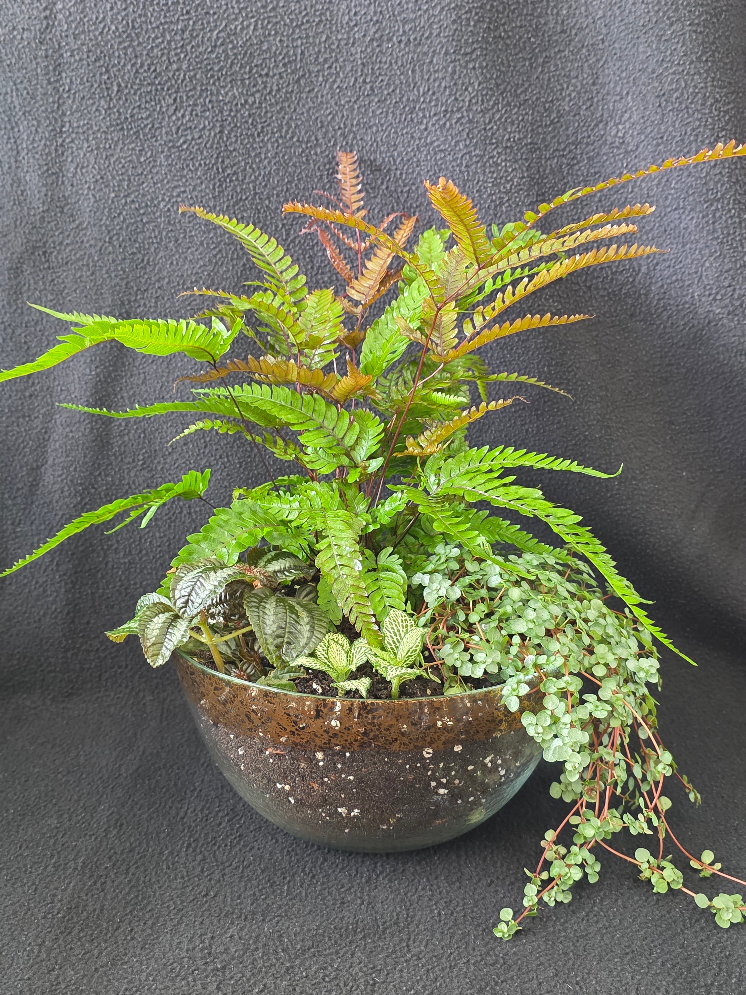 Copper and green fern bowl arrangement, front view