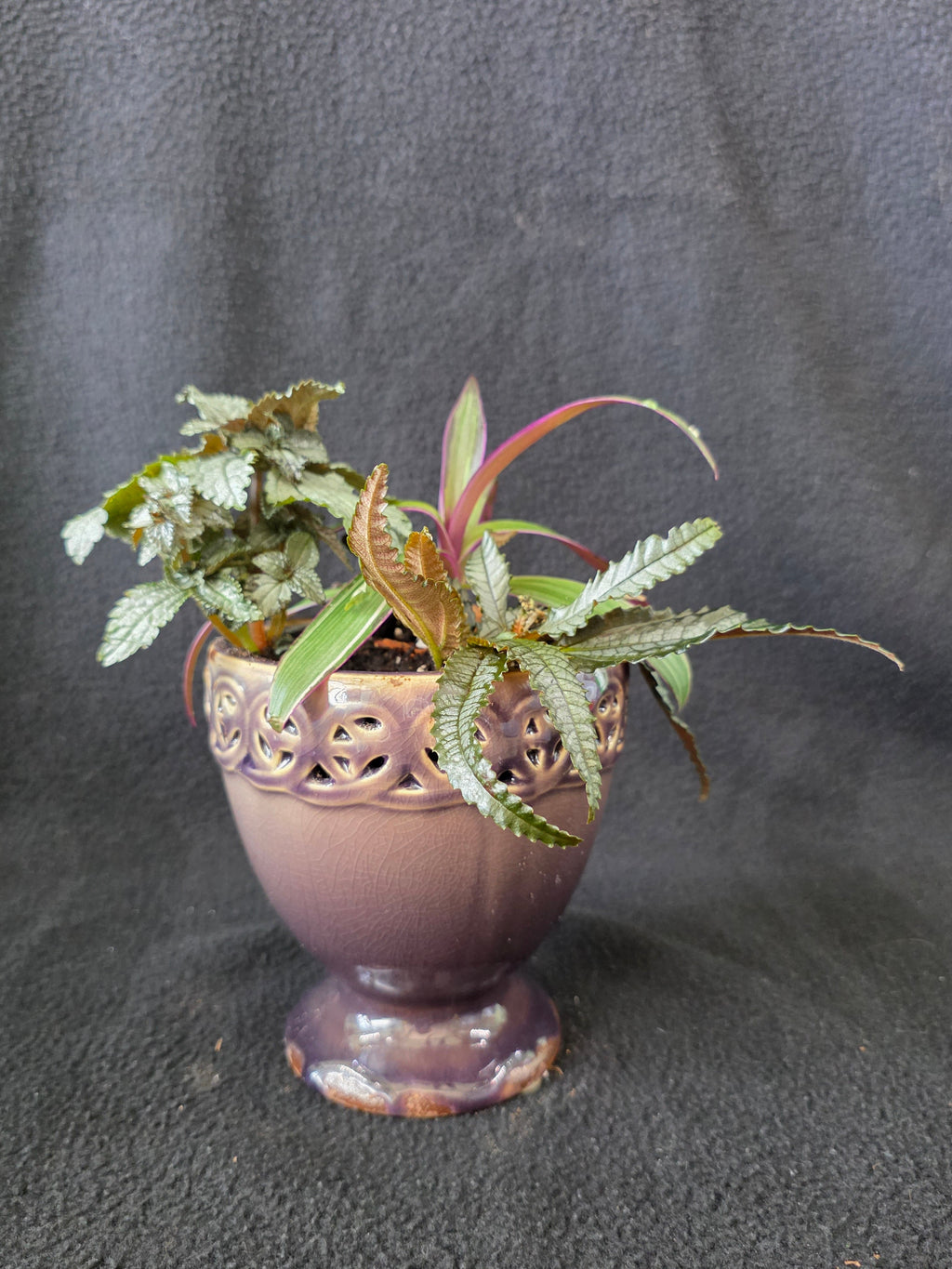Mauve lattice urn garden arrangement, side view