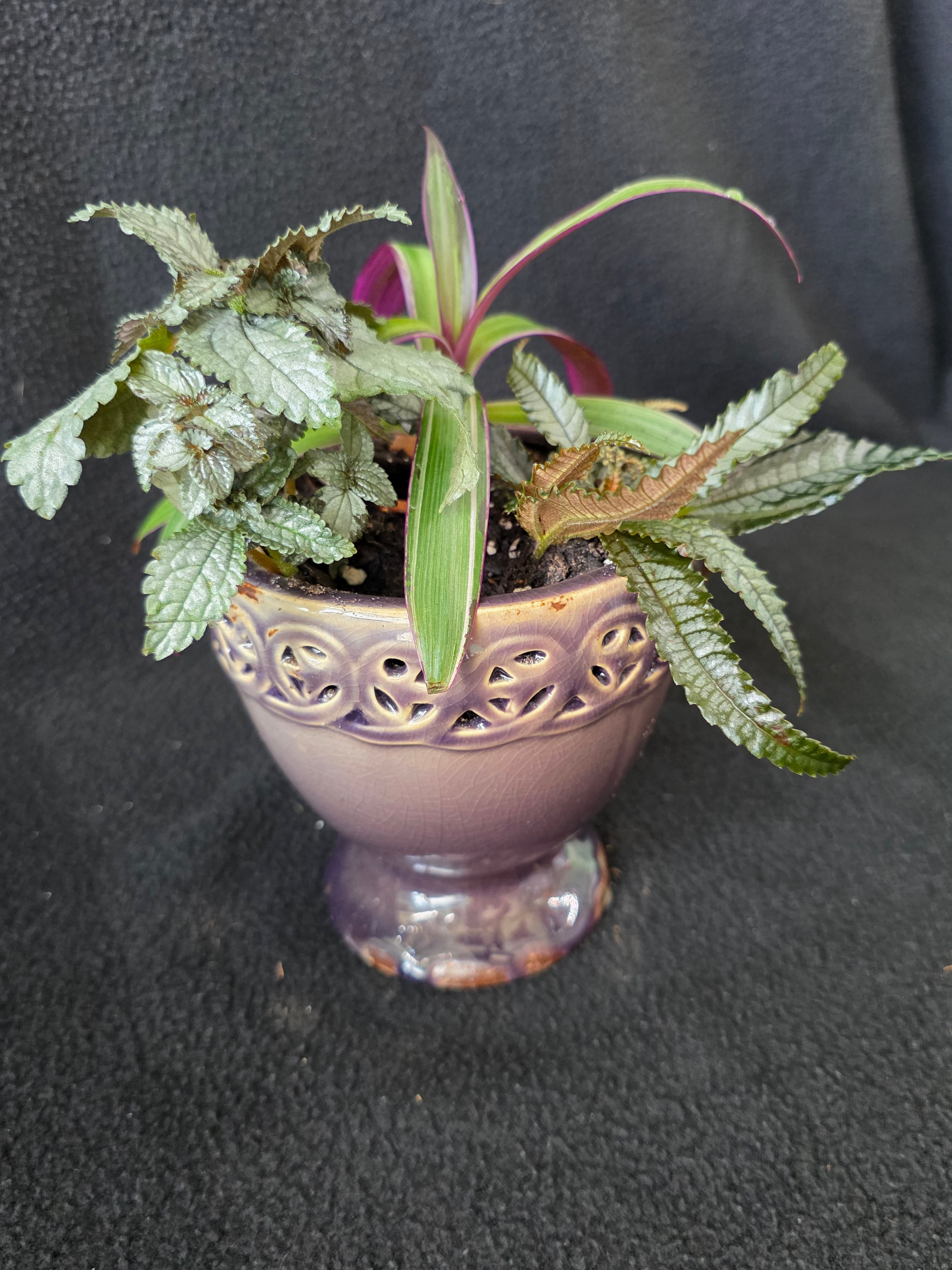 Mauve lattice urn garden arrangement, front view