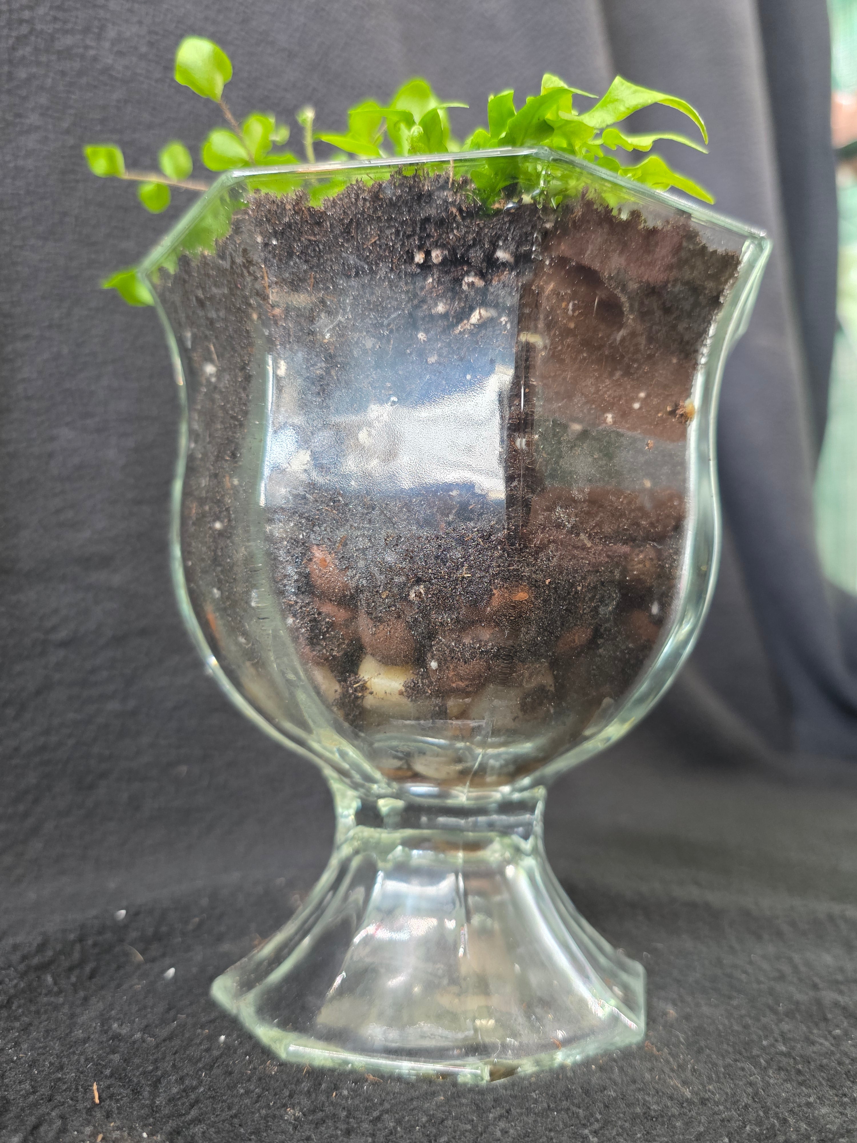 Glass footed urn showing layered drainage stones through transparent glass, side view