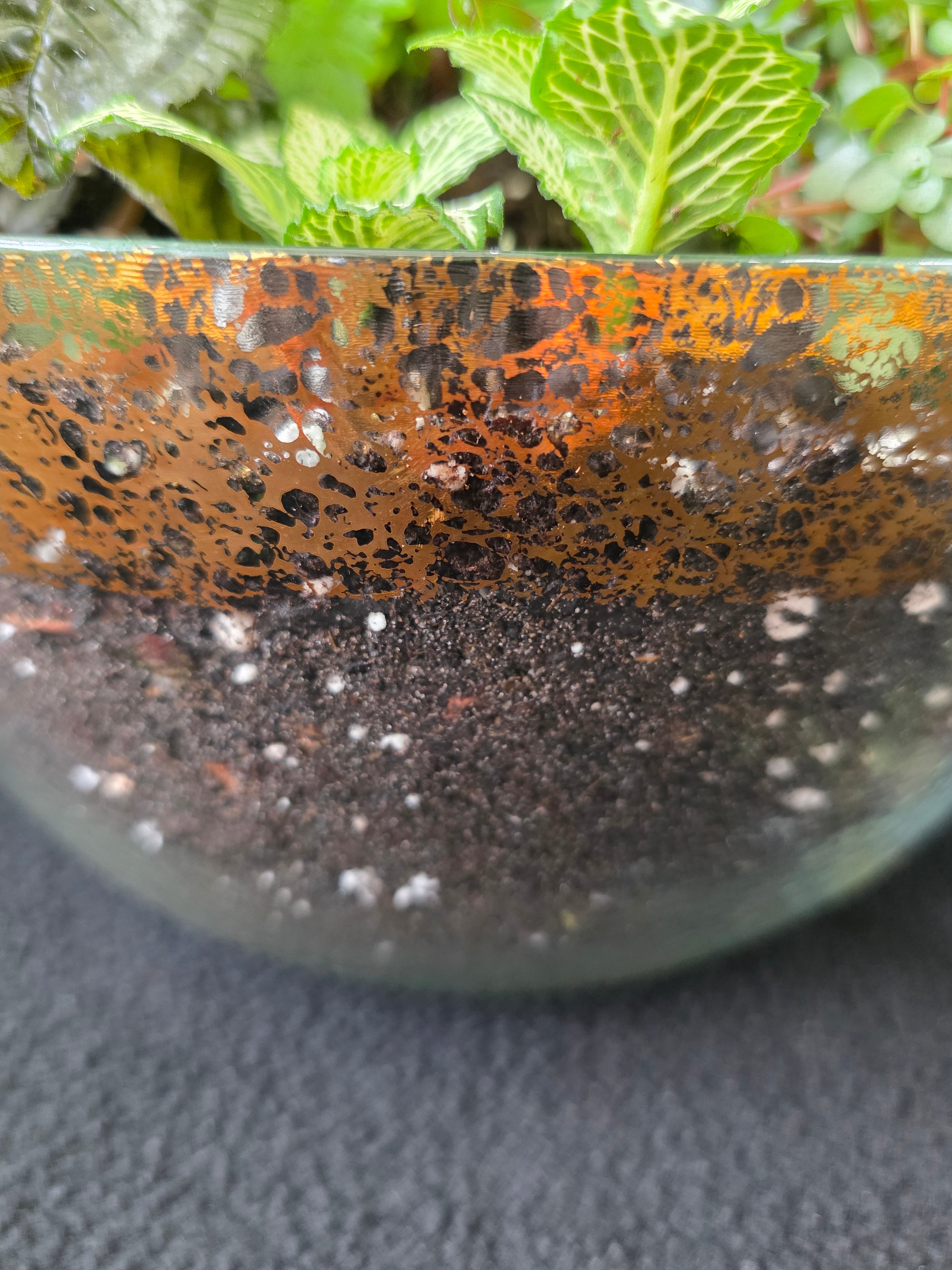 Copper & Green Fern Bowl Arrangement