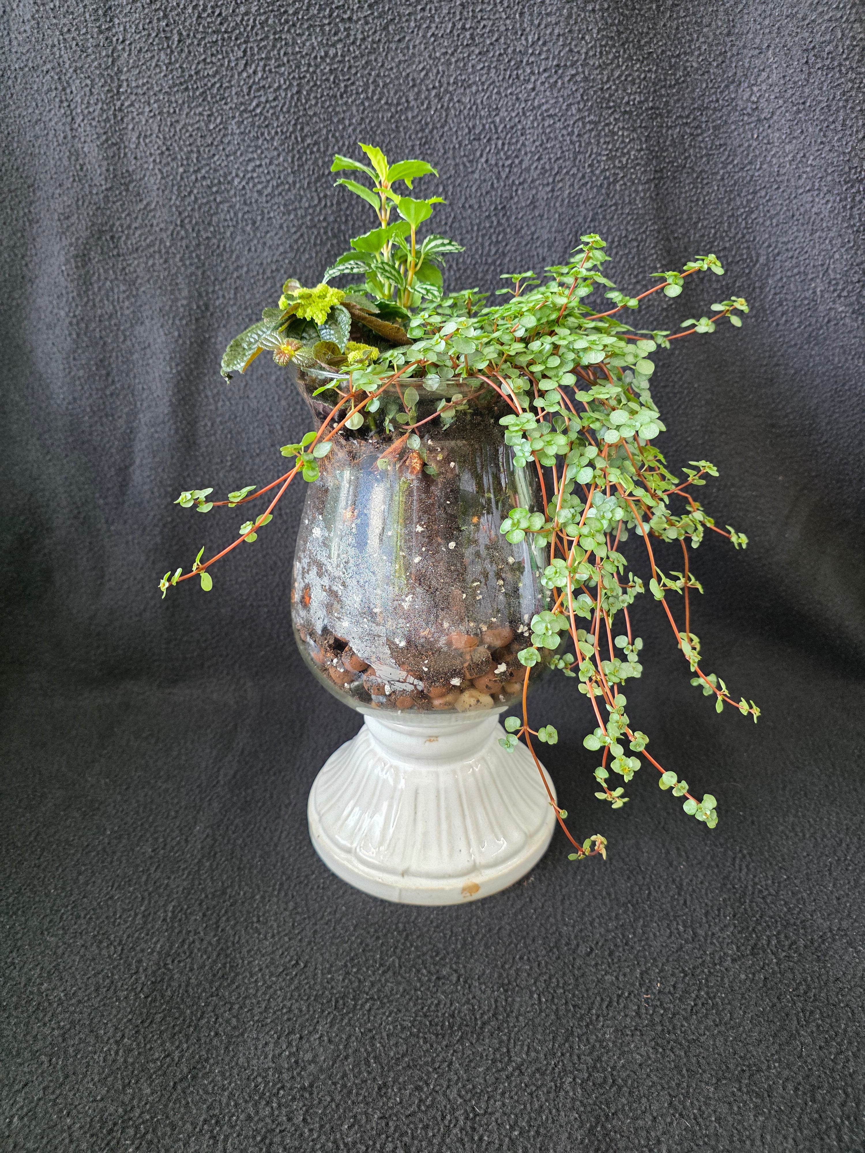Mercury Glass Garden Arrangement